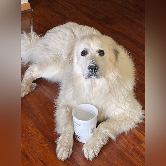 Welcome to our Posh!! - Picture 16 of 17